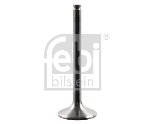 Intake Valve